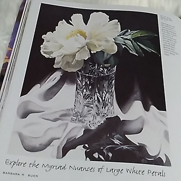 SPLASH 4 the spendlor of light hardcover artist watercolor coffeetable book - Picture 11 of 13